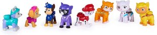 8 figuuriline kassimeeskond Paw Patrol Cat Pack hind ja info | Poiste mänguasjad | kaup24.ee