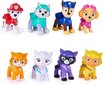 8 figuuriline kassimeeskond Paw Patrol Cat Pack hind ja info | Poiste mänguasjad | kaup24.ee