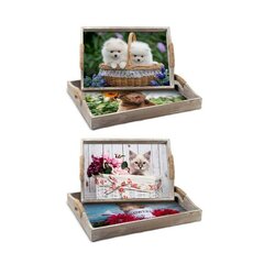 Kandikute komplekt Dkd Home Decor Puit Mdf, mitmevärviline цена и информация | Столовые и кухонные приборы | kaup24.ee