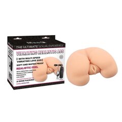 Vibreeriv masturbaator T-Skin Flesh hind ja info | Sekslelud, masturbaatorid | kaup24.ee