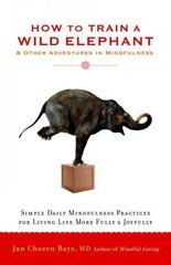 How to Train a Wild Elephant: And Other Adventures in Mindfulness hind ja info | Eneseabiraamatud | kaup24.ee