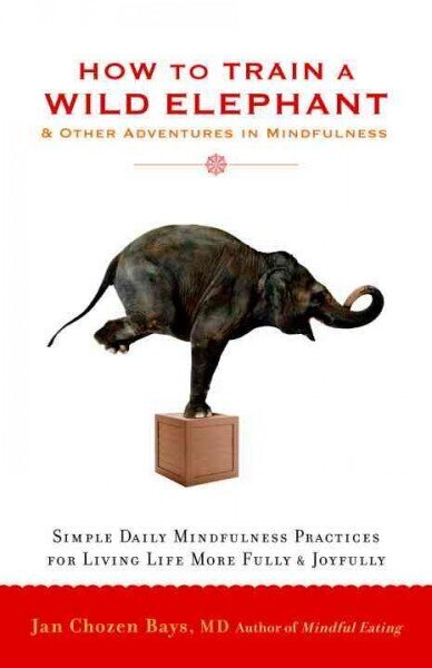 How to Train a Wild Elephant: And Other Adventures in Mindfulness цена и информация | Eneseabiraamatud | kaup24.ee
