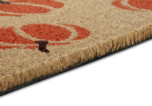 Uksematt Hanse Home Mix Mats Cocos 45x75 cm hind ja info | Uksematid | kaup24.ee