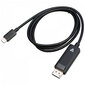 USB C-DisplayPort Adapter V7 V7USBCDP14-1M 1 m 8K Ultra HD цена и информация | USB jagajad, adapterid | kaup24.ee