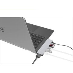 USB-разветвитель Targus GN21D-GRAY 60 W цена и информация | Адаптеры и USB-hub | kaup24.ee