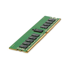 Память RAM HPE P43019-B21 DDR4 16 Гб цена и информация | Оперативная память (RAM) | kaup24.ee