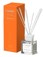 Домашний парфюм с палочками Caribi мандарин, 150мл цена и информация | Ароматы для дома | kaup24.ee