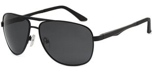 Солнцезащитные очки Label L1038 Polarized цена и информация | Солнцезащитные очки для мужчин | kaup24.ee