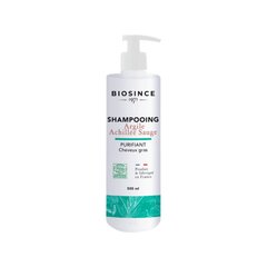 Gravier Biosince 1975 looduslik šampoon rasustele juustele kaolini savi ja nõgeseekstraktiga, 500 ml hind ja info | Šampoonid | kaup24.ee