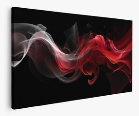 Картина Red White Smoke цена и информация | Картины, живопись | kaup24.ee