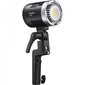 Godox ML30 Duo LED Light KIT цена и информация | Fotovalgustuse seadmed | kaup24.ee
