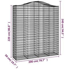 vidaXL kaarekujulised gabioonkorvid 2 tk, 200x50x220/240 cm, raud hind ja info | Aiad ja tarvikud | kaup24.ee