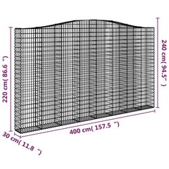 vidaXL kaarekujulised gabioonkorvid 2 tk, 400x30x220/240 cm, raud цена и информация | Заборы и принадлежности к ним | kaup24.ee