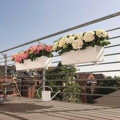 LECHUZA taimekast "Balconera Color 80 ALL-IN-ONE" valge цена и информация | Ящики для цветов | kaup24.ee