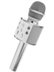Karaoke mikrofon - kõlar, häält muutvate efektidega цена и информация | Микрофоны | kaup24.ee