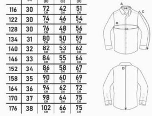 Poiste särk Semina 002-3 цена и информация | Рубашки для мальчиков | kaup24.ee