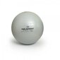 SISSEL® Securemax® treeningpall, 75 cm, hall цена и информация | Võimlemispallid | kaup24.ee