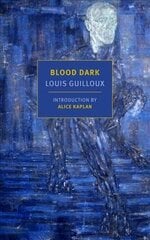 Blood Dark Main цена и информация | Фантастика, фэнтези | kaup24.ee