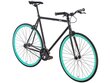 Fixie jalgratas 6KU Beach Bum - L hind ja info | Jalgrattad | kaup24.ee