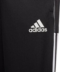 3/4 Adidas püksid lastele, 140 cm hind ja info | Jalgpalli varustus ja riided | kaup24.ee