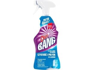 Cillit Bang Clean&Shiny Bathroom pihustatav puhastusvahend, 750 ml x 4 tk. hind ja info | Puhastusvahendid | kaup24.ee