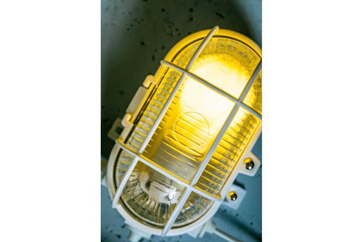 GTV lamp SANGUESA, 40W, E27, IP44, valge raam, ABS/klaas OS-KAY060-00 hind ja info | Seinavalgustid | kaup24.ee