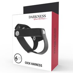 КОЖАНЫЙ РЕМЕНЬ DARKNESS C/B цена и информация | БДСМ и фетиш | kaup24.ee