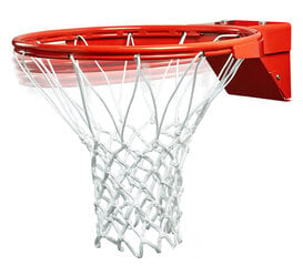 Баскетбольное кольцо с сеткой Bilaro Pro Ultra цена и информация | Другие баскетбольные товары | kaup24.ee