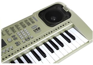 Klaver MQ807 54 klahvi LCD ekraan Mikrofon USB muusika hind ja info | Arendavad mänguasjad | kaup24.ee