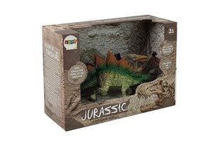Dinosauruse figuuride komplekt Stegosaurus ja pteranodon hind ja info | Poiste mänguasjad | kaup24.ee