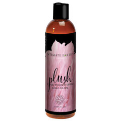 Гибридный лубрикант  Plush Anal Intimate Earth 120 ml цена и информация | Лубриканты | kaup24.ee