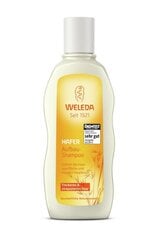 Weleda Oat šampoon 190 ml hind ja info | Weleda Kosmeetika, parfüümid | kaup24.ee