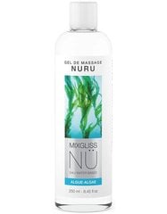 Libesti Nu Aloe Vera 250 ml hind ja info | Lubrikandid | kaup24.ee