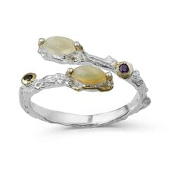 Серебряное (925) кольцо с драгоценными камнями, код f50306 F50306EU-57 цена и информация | Кольцо | kaup24.ee