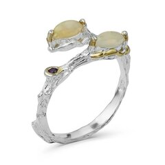 Серебряное (925) кольцо с драгоценными камнями, код f50306 F50306EU-57 цена и информация | Кольцо | kaup24.ee