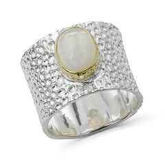 Серебряное (925) кольцо с драгоценными камнями, код f50305 F50305EU-57 цена и информация | Кольца | kaup24.ee