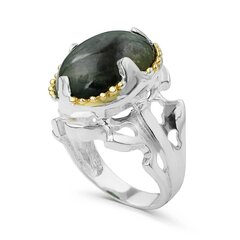 Серебряное (925) кольцо с драгоценными камнями, код f50325 F50325EU-57 цена и информация | Кольцо | kaup24.ee