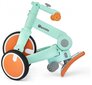 Laste kolmerattaline jalgratas, maastikuratas, rattur - tõukur - 5in1 alates HyperMotion - Mint hind ja info | Kolmerattalised jalgrattad | kaup24.ee