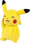 Pikachu Pokemon plush mänguasi цена и информация | Pehmed mänguasjad | kaup24.ee