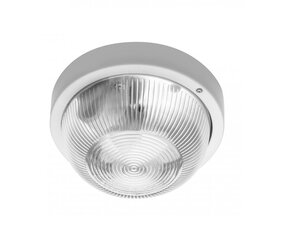 Потолочный светильник GTV IBIZA, max 40W E27, IP44, белый OS-IBBL060-00 цена и информация | Потолочные светильники | kaup24.ee