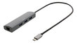 Jaotur DeltacoUSBC-1294 USB-C, RJ45, 3xUSB-A 3.0 цена и информация | USB jagajad, adapterid | kaup24.ee