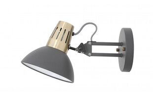 Настенный светильник Artemia 2195 цена и информация | Настенный светильник Конусы | kaup24.ee