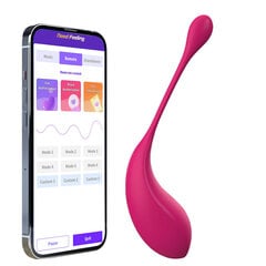 Шарик Кегеля с приложением, розовый цена и информация | Тренажер Satisfyer Yoni Power 1, красный цвет | kaup24.ee