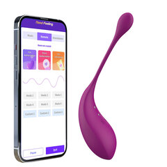 Vibraator Kegel App, lilla hind ja info | Vaginaalkuulid | kaup24.ee