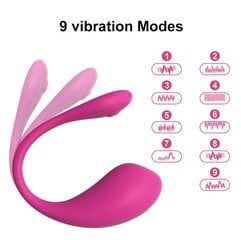 Vibraator APP Control hind ja info | Vaginaalkuulid | kaup24.ee