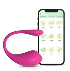 Вибратор APP control цена и информация | Тренажер Satisfyer Yoni Power 1, красный цвет | kaup24.ee