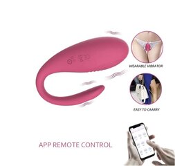 Вибратор Lush APP Control цена и информация | Тренажер Satisfyer Yoni Power 1, красный цвет | kaup24.ee