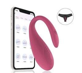 Вибратор Lush APP Control цена и информация | Тренажер Satisfyer Yoni Power 1, красный цвет | kaup24.ee