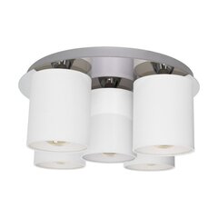 Потолочный светильник Merida цена и информация | Потолочные светильники | kaup24.ee