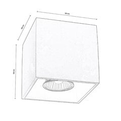 Laevalgusti Nicold hind ja info | Laelambid | kaup24.ee